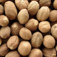 Whole Nutmeg (Jaiphal)