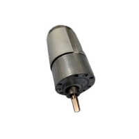 Dc Spur Gear Motor - Color: Silver