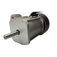 Brushless Dc Motors Bldc Motors - Frequency (mhz): 50 Hertz (hz)