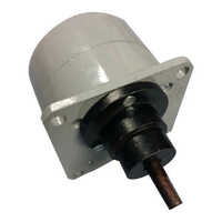 Synchronous Gear Motor - Ambient Temperature: New Newton