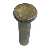 3 Inch Brass Rivet - Brass Material, 3 Inch Size, Silver Color | Durable, Corrosion Resistant, Easy To Install For Industrial Applications