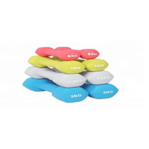 vinayal dumbbell 500 gm
