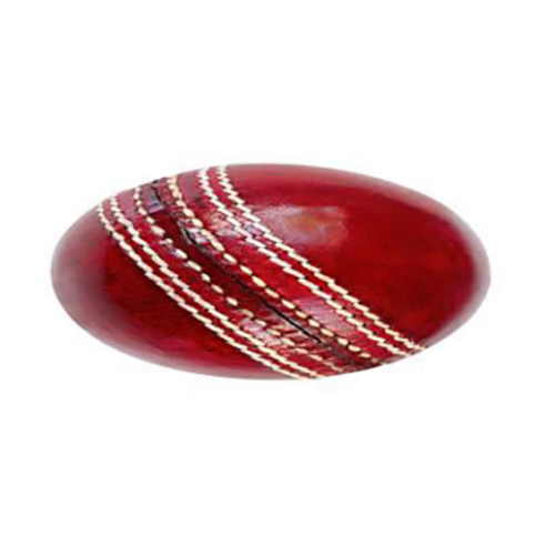 Leather ball T 20 (20 Plus Over)