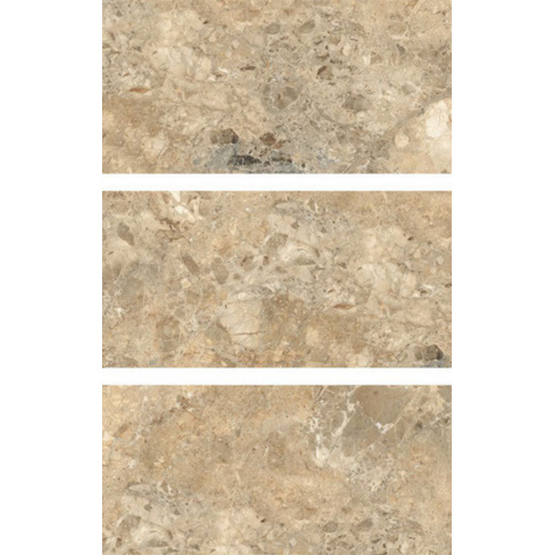 600 X 1200 MM Aczotic Netural Glossy GVT-PGVT Tiles