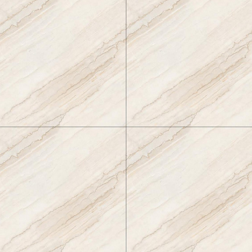 600 X 600 MM Endless 1002 Glossy GVT-PGVT Tiles