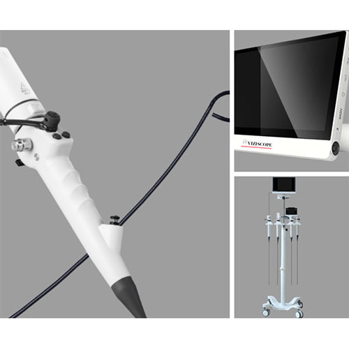 Wireless Flexible Endoscopes