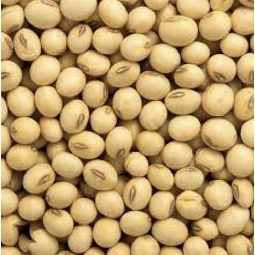 Soya Bean Origin: India