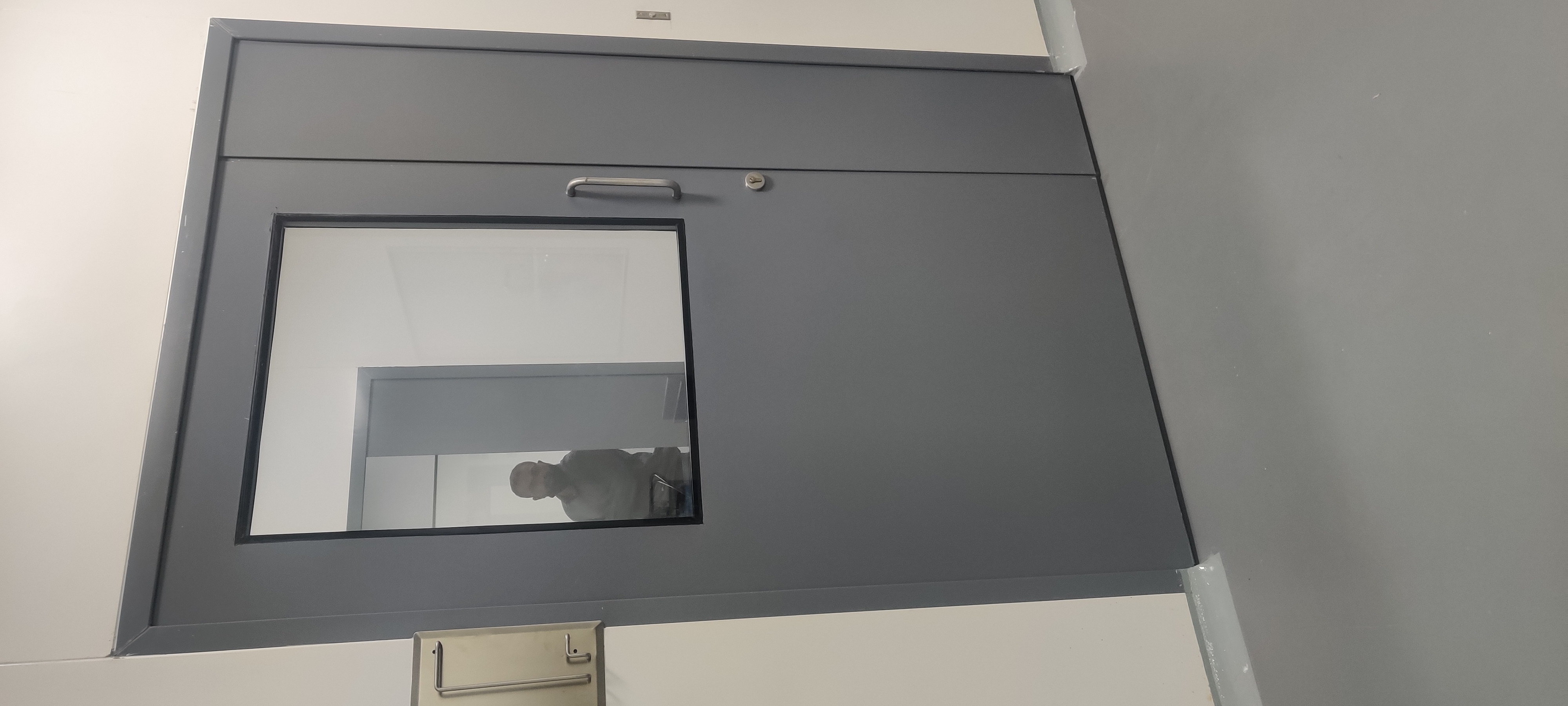 Customized Flush Door