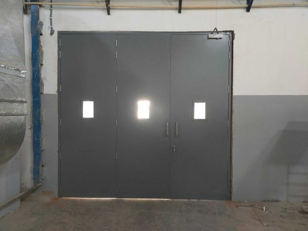 Customized Flush Door