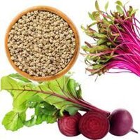 Common Beetroot Seeds