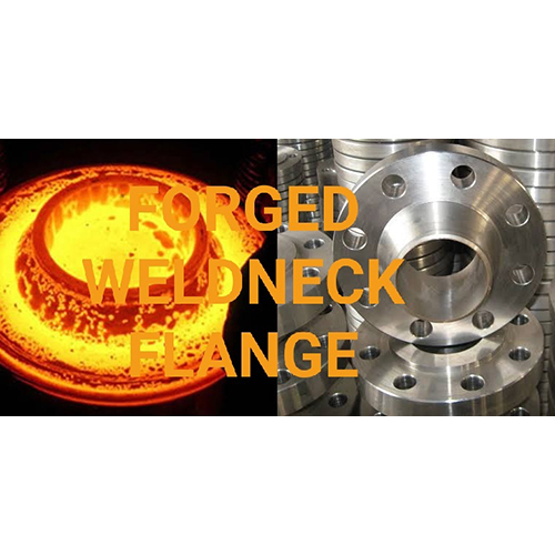 SS Forged Weldneck Flange