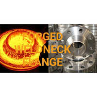 Ss Forged Weldneck Flange - Application: Industrial