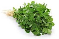Methi Seeds - High Purity Grade A, Common Cultivation Type | 6 Months Shelf Life, Superior Vegetable Seeds