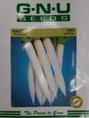Radish Seeds - High Purity, White Color | Moisture Nil, 6 Months Shelf Life, Ideal Vegetable Seeds