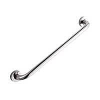 Silver 24 Inch Double Grab Rod