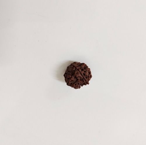 6 Mukhi Rudraksha