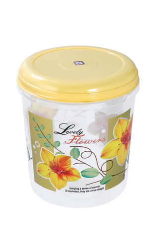 Household Container Fresh N Fresh 10 kg  Printed