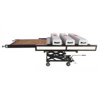 Low Pile Uv Curing Machine - Automatic Grade: Manual