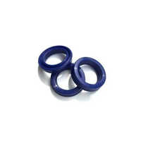 Blue Hydraulic Rubber Seal
