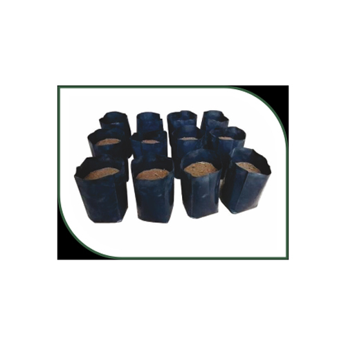 Compostable Nursery Bags at Best Price in Warangal, Telangana Green