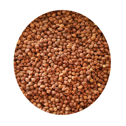 Brown Desi Chana Crop Year: 2023 Years