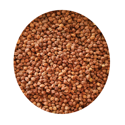 Brown Desi Chana