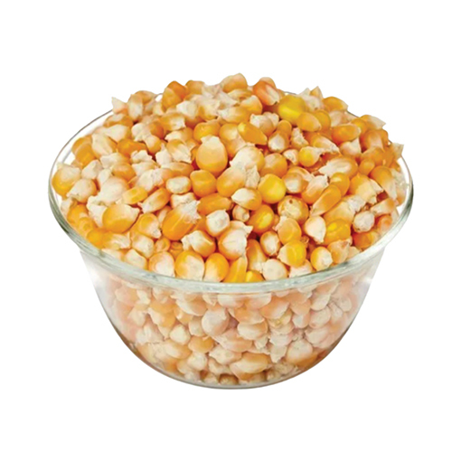 Yellow Corn Maize