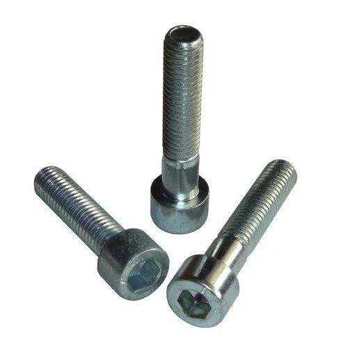 Silver Cylinder Screw Head