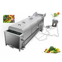 White Ydbl-3000 Vegetable Blanching Machine