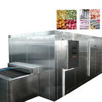 Silver Ssd-500 High Efficiency Iqf Quick Freezing Tunnel Vegetable Fruit Fish Seafood Freezing Machine