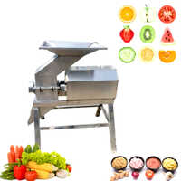 Silver Pl-270 Garlic Ginger Turmeric Onion Paste Grinding Machine