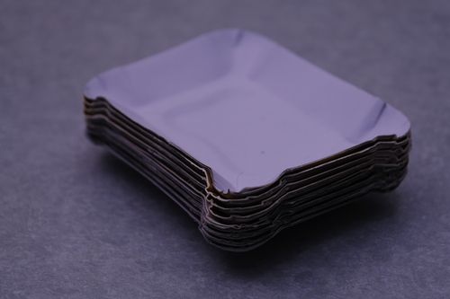 Rectangular Disposable dish