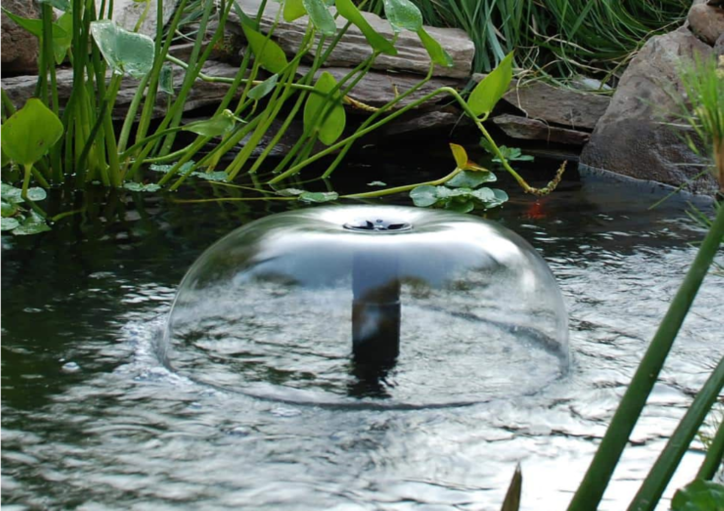 Mushroom Bell Fountain