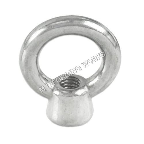 SS Ring Nut