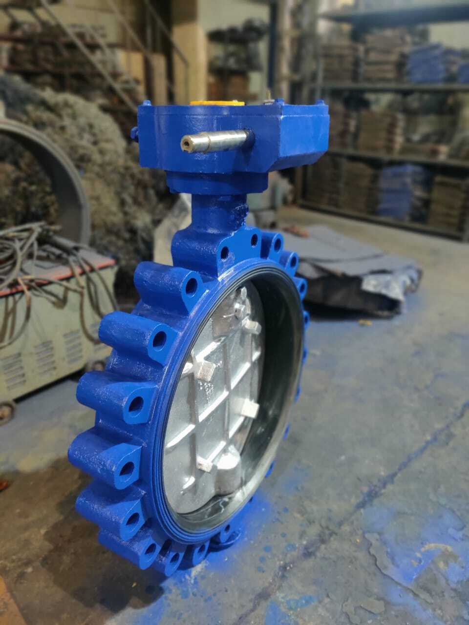 Lug Butterfly valve