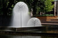 Dandelion Fountain