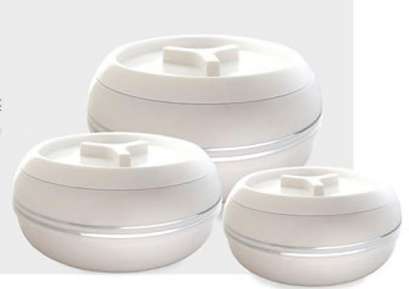 STAINLESS STEEL CASSEROLE F AND B