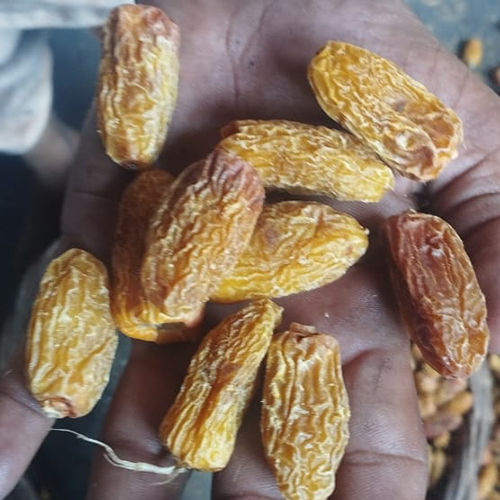 Common Yellow Dry Dates