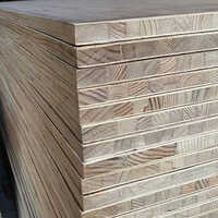 Wear Resistant Timber Wood Plywood