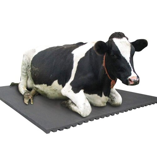 Cow mats