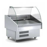 Fish Display Counter - Stainless Steel & Glass, 2 Shelves, Rectangular Shape, Portable Design, 50 Hz Frequency, Voltage 230 V, Silver Color