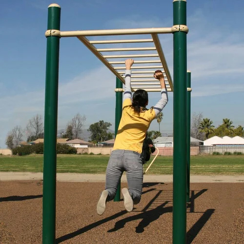 Horizontal Ladder