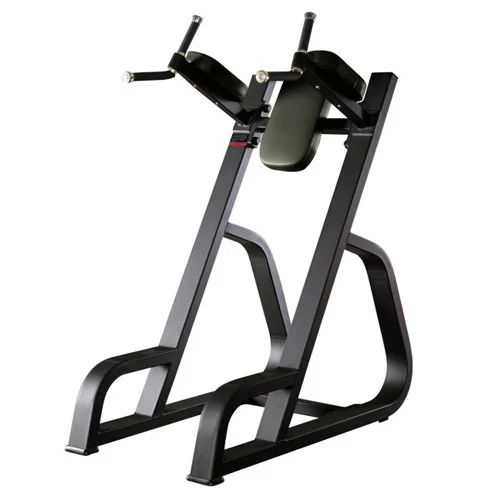 Dipping Leg Raise Machine