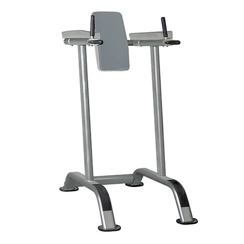 Gym Leg Raise Machine