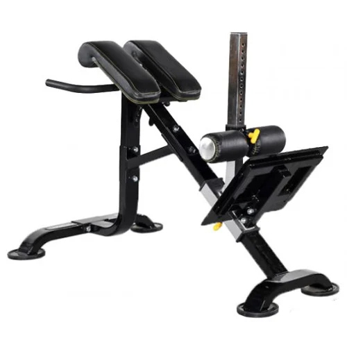 Gym Hyper Extension Machine