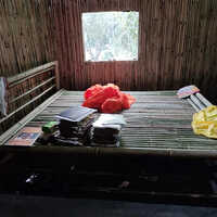 Bamboo bed