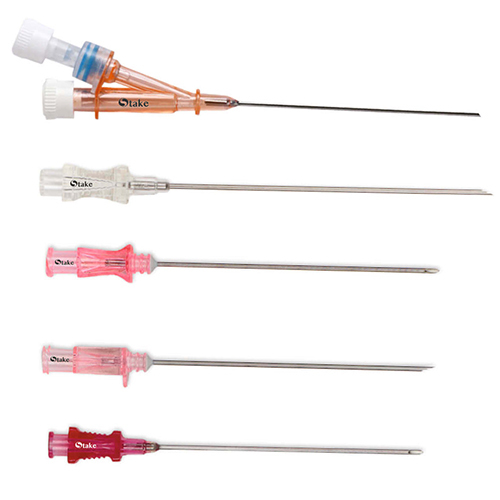 Guidewire Introducer