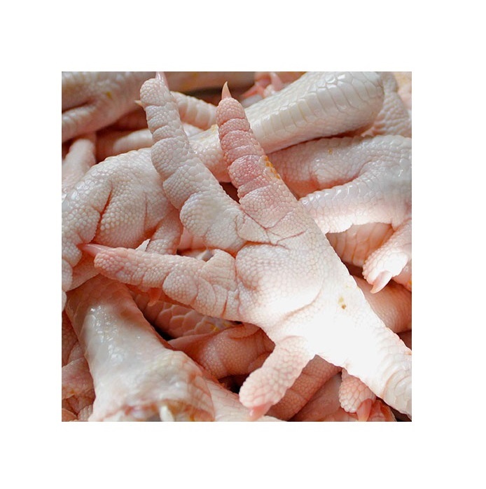 Halal Frozen Chicken Feet/Chicken Paws Top Selling Premium Halal Frozen Whole Chicken Feet Paws