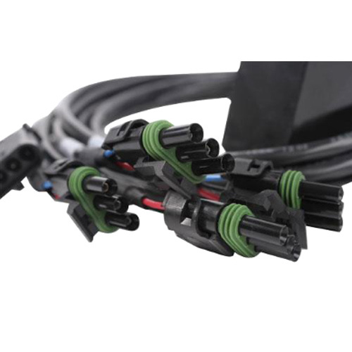 Engine Wiring Harness