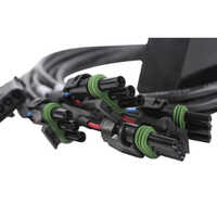 Engine Wiring Harness